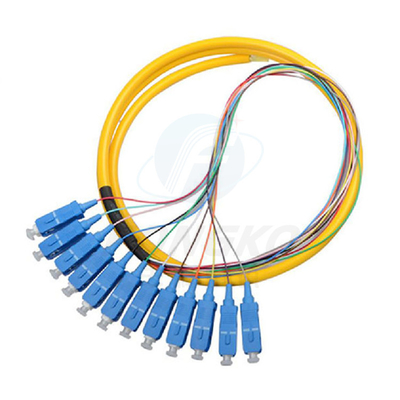 12F FTTH Φύλακες οπτικής ράβδου SC APC UPC SM G.657A1